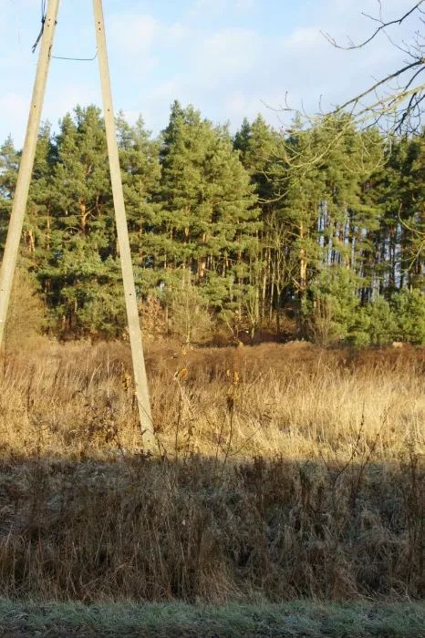 Działka budowlana Gronowo Górne. Zdjęcie 5