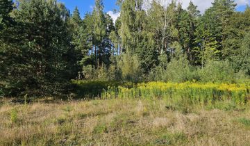 Działka budowlana Dorotowo