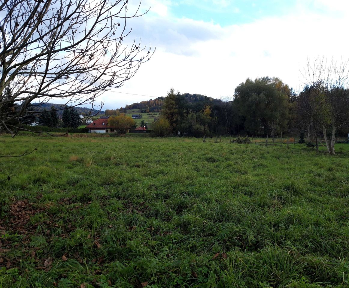 Działka budowlana Żywiec, ul. Nadrzeczna. Zdjęcie 2