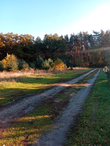 Działka budowlana Bogusławki. Zdjęcie 1