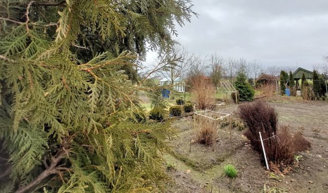 Mieszkanie 3-pokojowe Kramarzewo. Zdjęcie 21