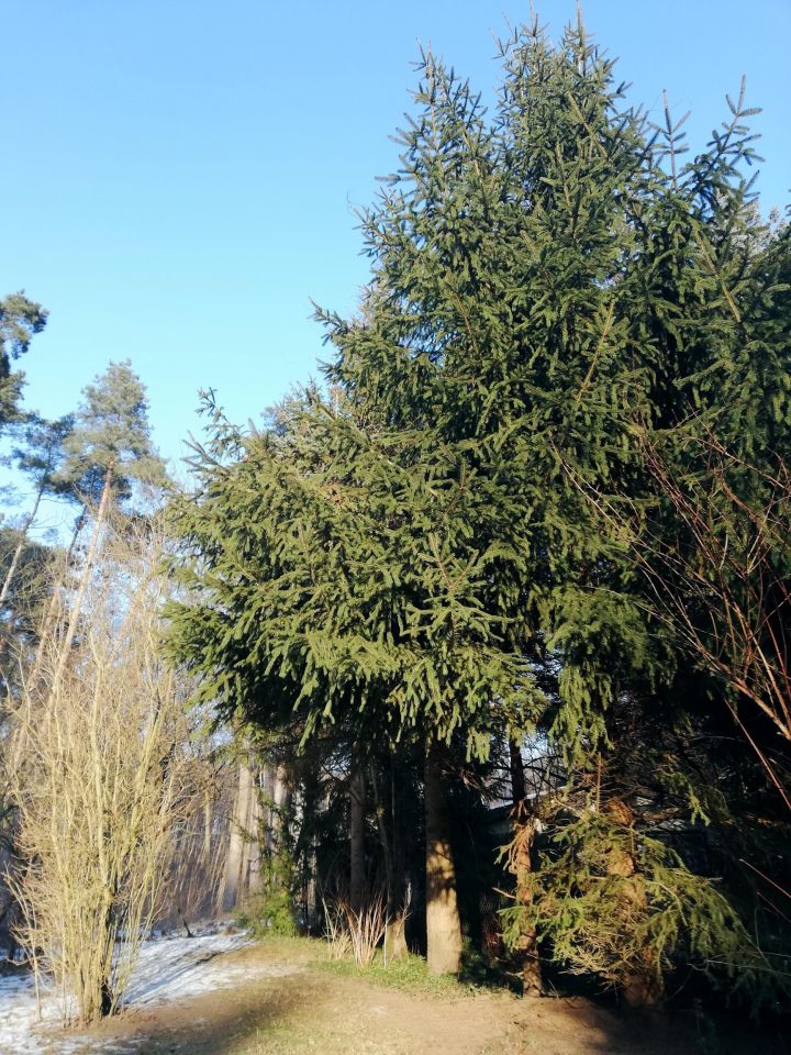 Działka rekreacyjna Bugaj Barcinek, ul. Kasztanowa. Zdjęcie 9