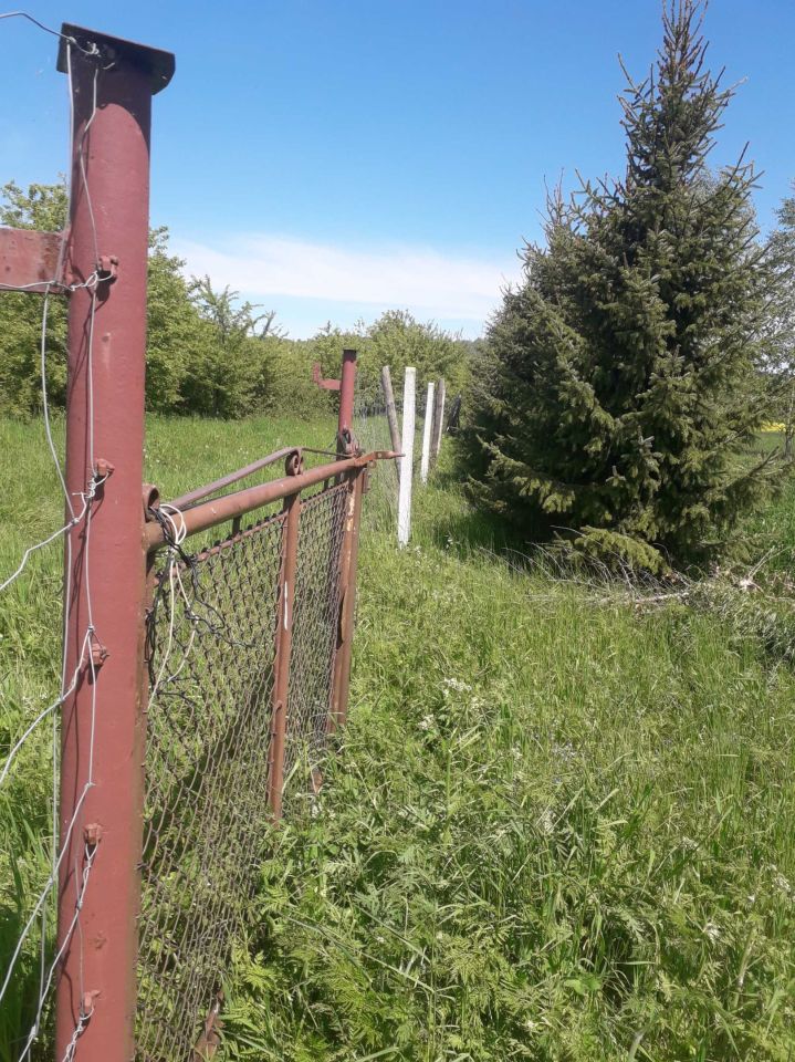 Działka rolna Wybrzeże. Zdjęcie 6