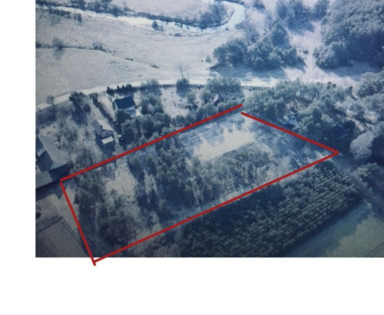 Działka Ciemiętniki Kresy. Zdjęcie 2