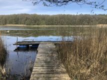 Działka siedliskowa Wierzchówko. Zdjęcie 2