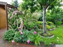 Działka rod Toruń Chełmińskie Przedmieście. Zdjęcie 2