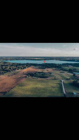 Działka leśna Elganowo. Zdjęcie 1