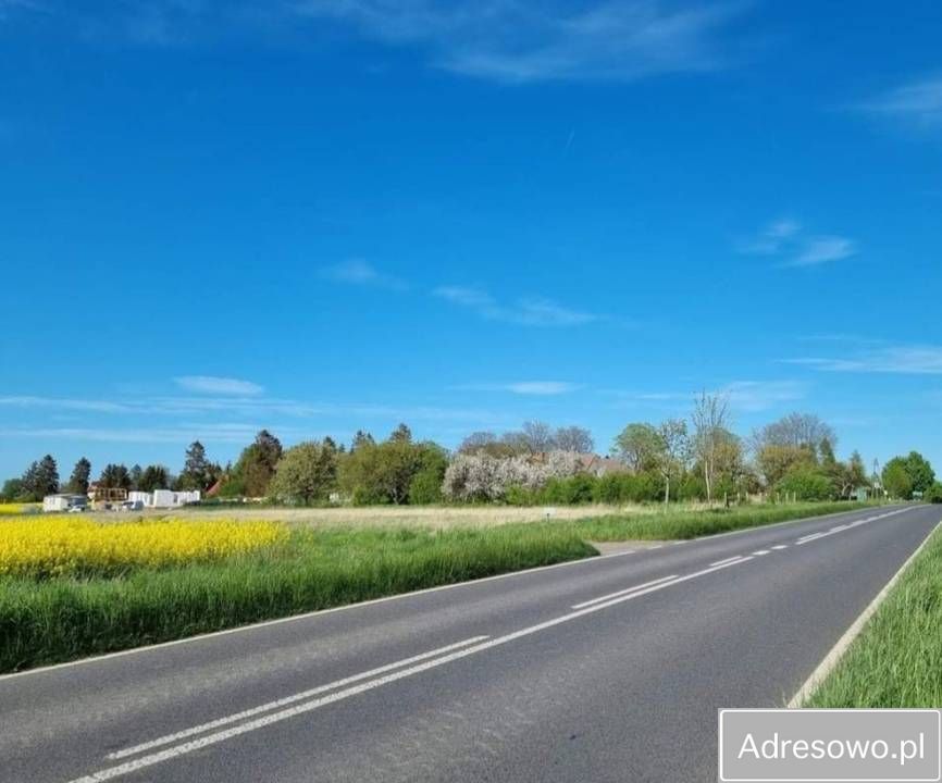 Działka rolna Paprotno. Zdjęcie 6