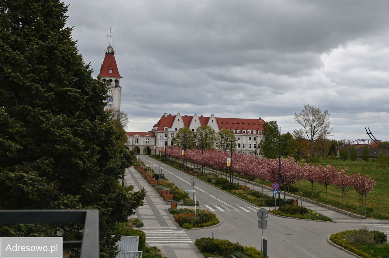 Hotel/pensjonat Władysławowo, ul. gen. Józefa Hallera. Zdjęcie 18