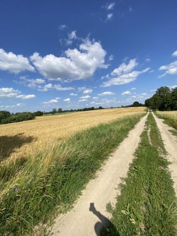 Działka rolna Lechowo. Zdjęcie 1