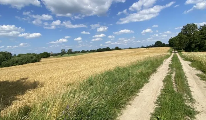 Działka rolna Lechowo