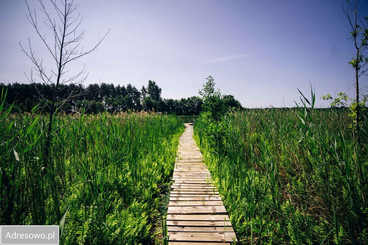 Działka rekreacyjna Perkowo. Zdjęcie 5