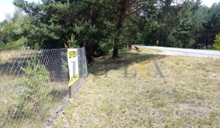 Działka budowlana Stare Grochale