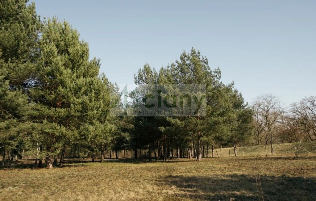 Działka budowlana Rajszew. Zdjęcie 4