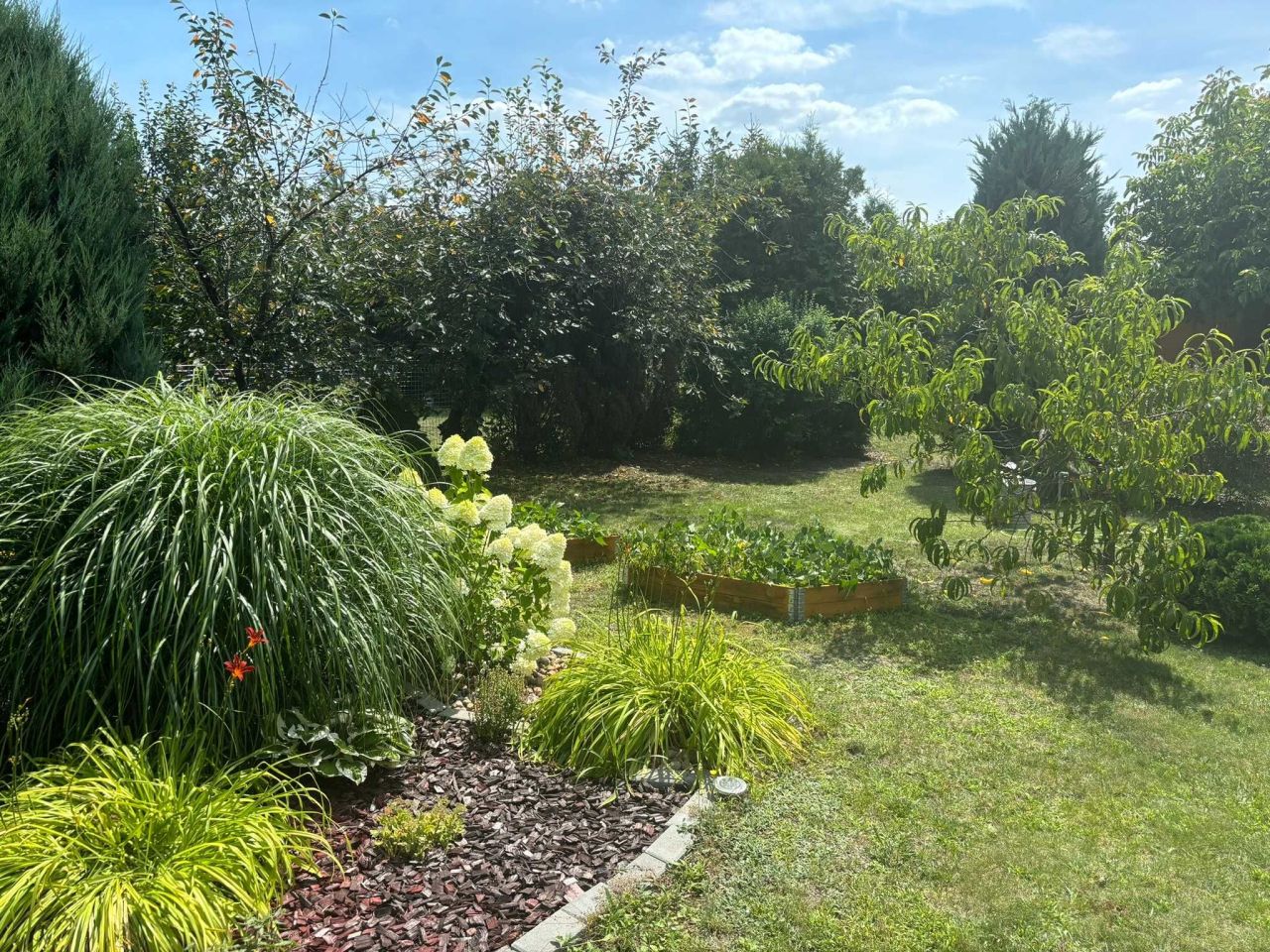 Działka rod Września. Zdjęcie 4