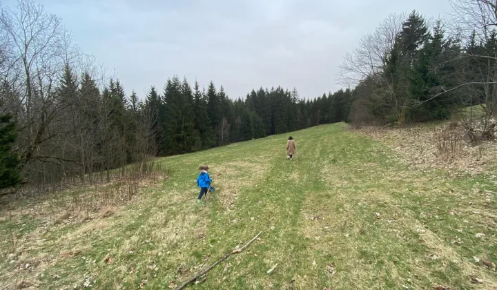Działka inna Wieściszowice, -