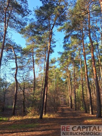 dom wolnostojący, 4 pokoje Zielonki-Wieś. Zdjęcie 15