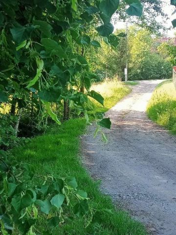 Działka budowlana Koźmice Wielkie. Zdjęcie 1