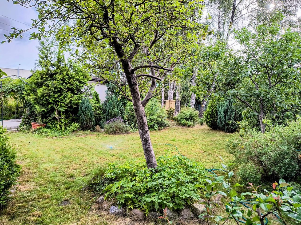 Działka rod Gdańsk Jasień, ul. Gronostajowa. Zdjęcie 3