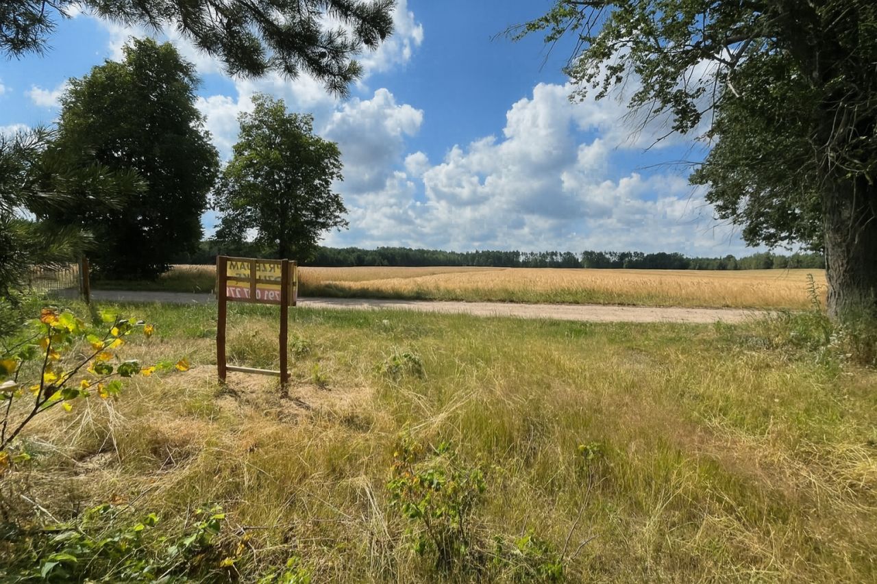 Działka rolno-budowlana Surmacze. Zdjęcie 19