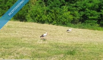Działka rolno-budowlana Koźmice Wielkie