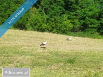 Działka rolno-budowlana Koźmice Wielkie. Zdjęcie 1