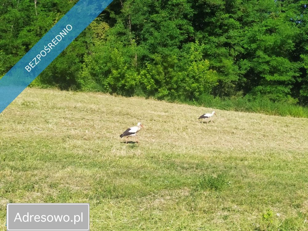 Działka rolno-budowlana Koźmice Wielkie. Zdjęcie 2