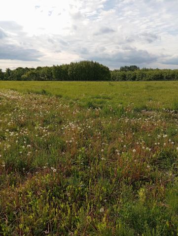 Działka budowlana Dąbrowa Tomaszowska. Zdjęcie 1