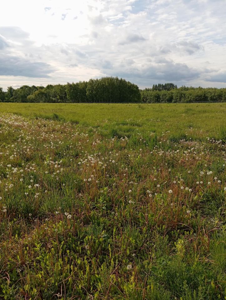 Działka budowlana Dąbrowa Tomaszowska
