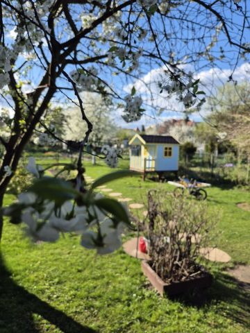 Działka rod Rybnik, ul. Wodzisławska. Zdjęcie 1