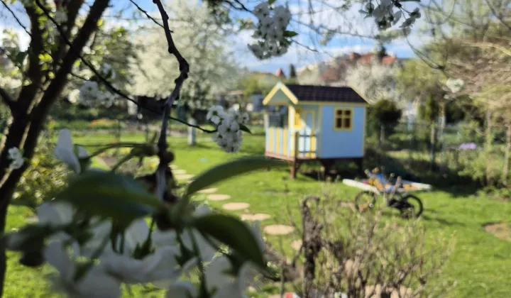 Działka rod Rybnik, ul. Wodzisławska