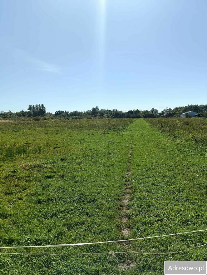 Działka siedliskowa Osiek. Zdjęcie 5