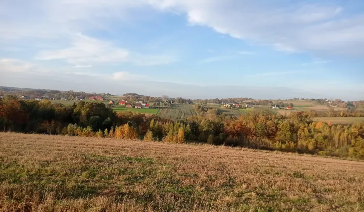 Działka rolno-budowlana Frydrychowice, ul. Widokowa