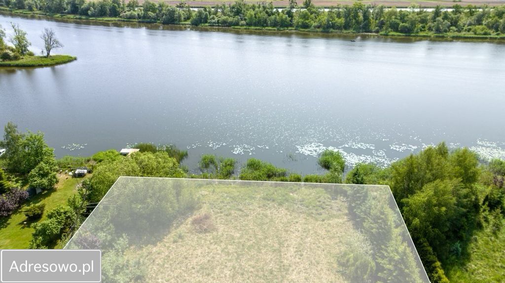 Działka rolno-budowlana Kurów. Zdjęcie 6