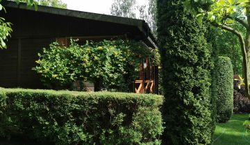 Działka rekreacyjna Głuszynek