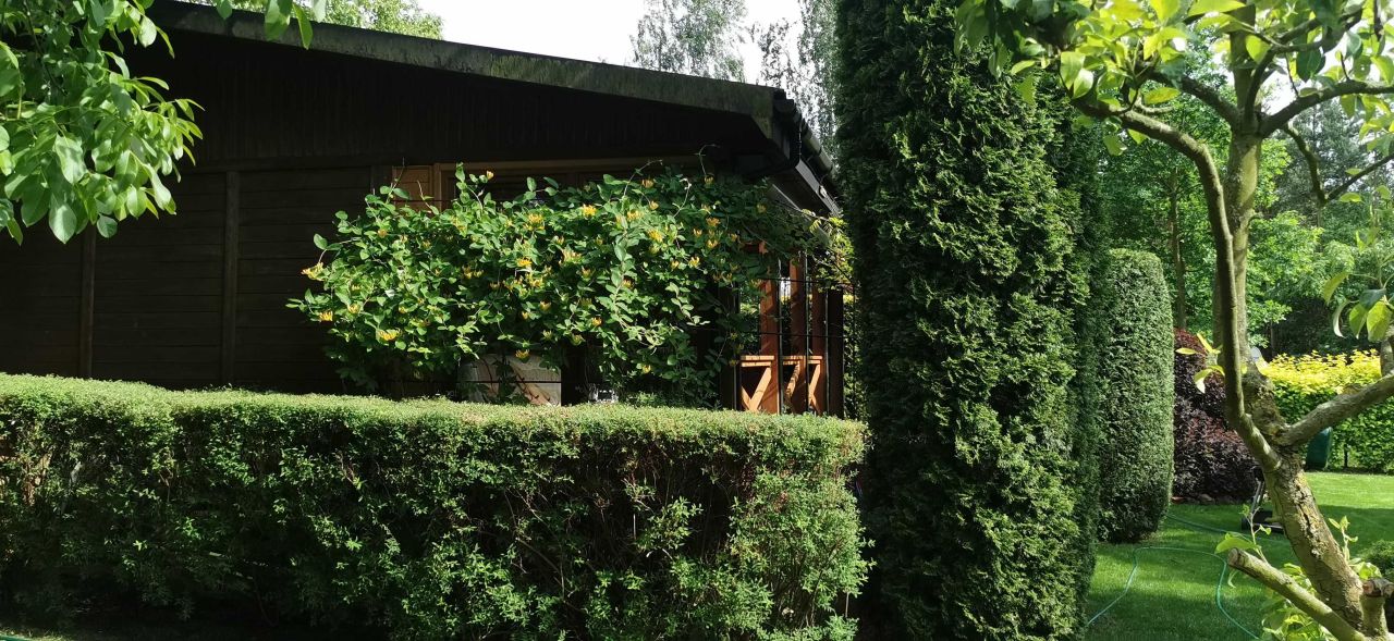 Działka rekreacyjna Głuszynek. Zdjęcie 2