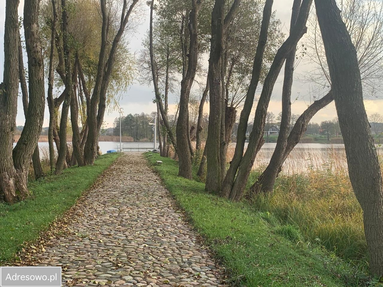 dom wolnostojący, 9 pokoi Wierzbiczany. Zdjęcie 2