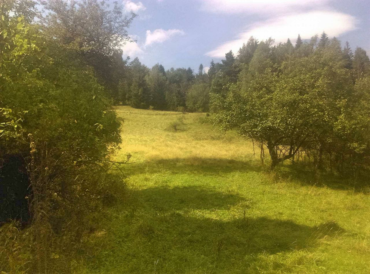 Działka inna Zawoja. Zdjęcie 7