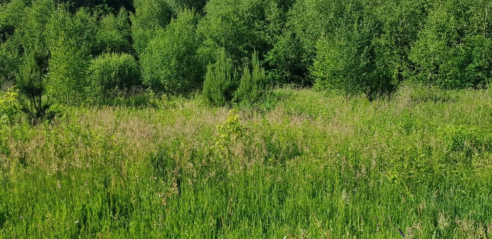 Działka rolno-budowlana Trzebiesławice. Zdjęcie 8