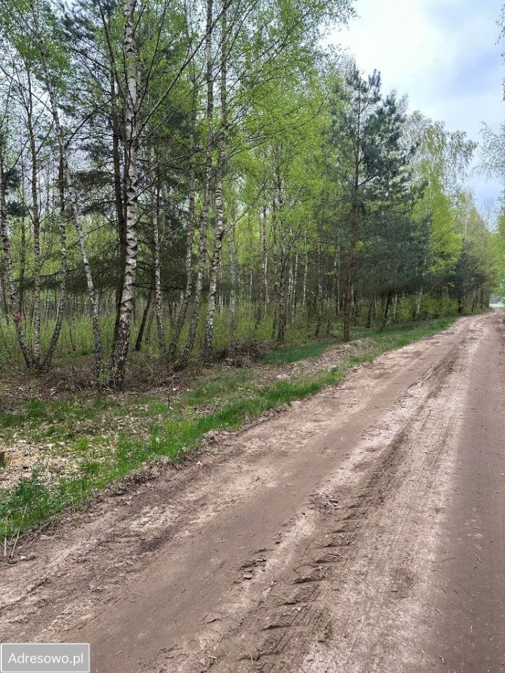 Działka budowlana Górki Duże. Zdjęcie 9