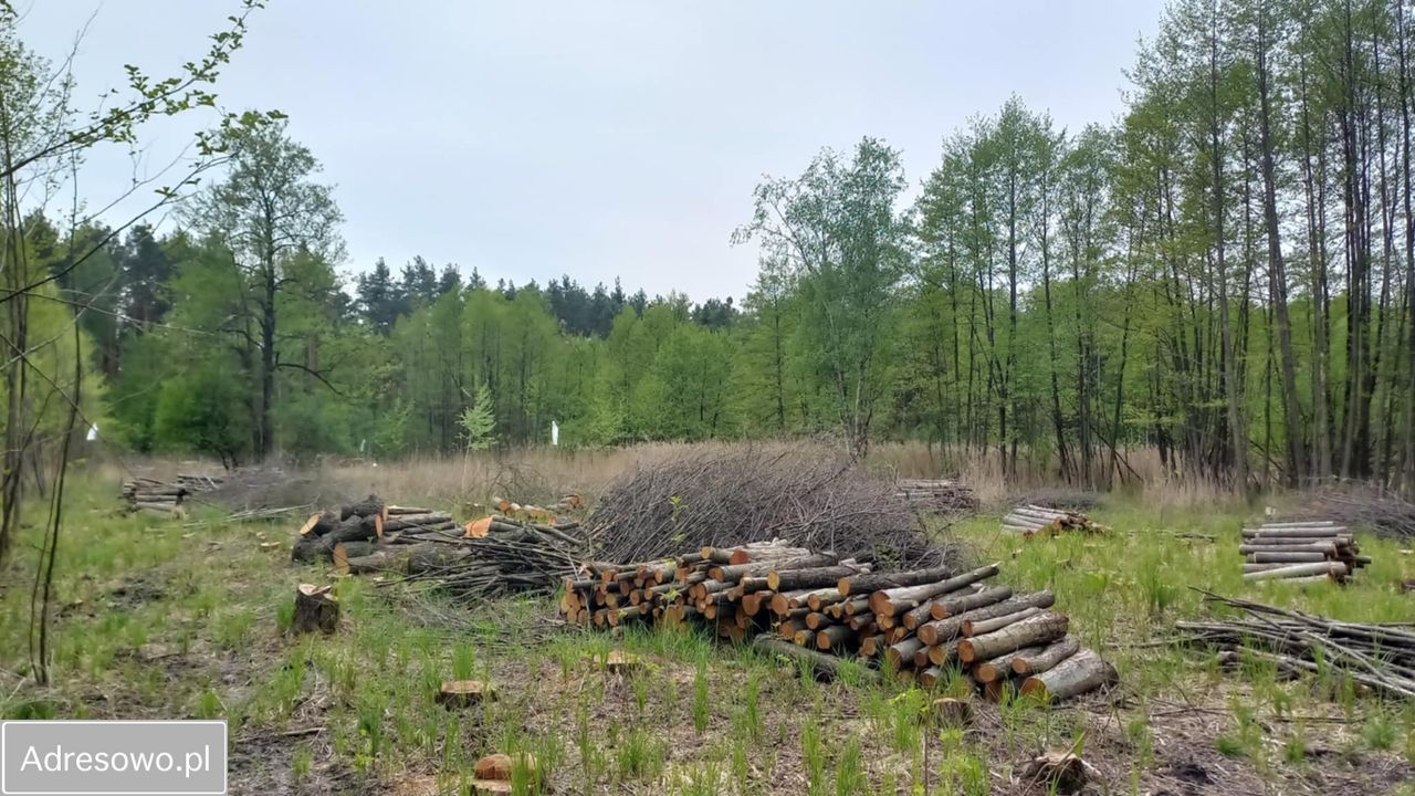 Działka budowlana Pilawa, ul. Jana Kochanowskiego. Zdjęcie 4