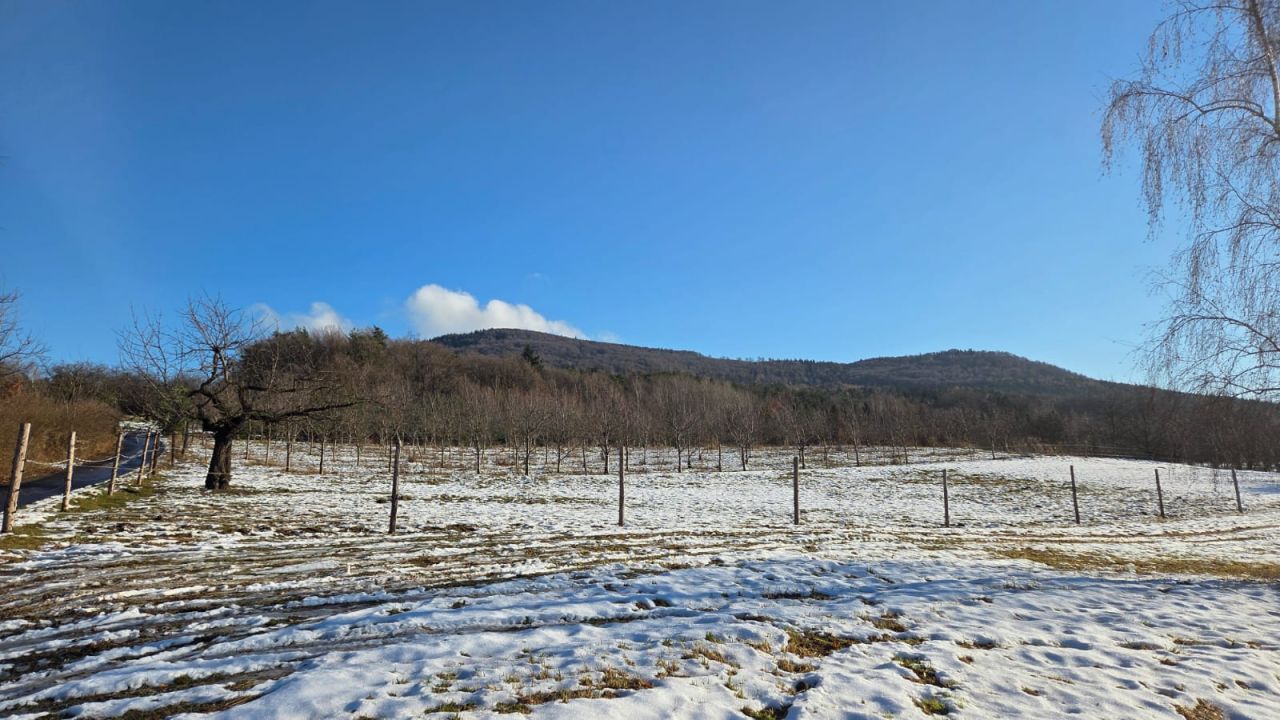 Działka siedliskowa Sady. Zdjęcie 7