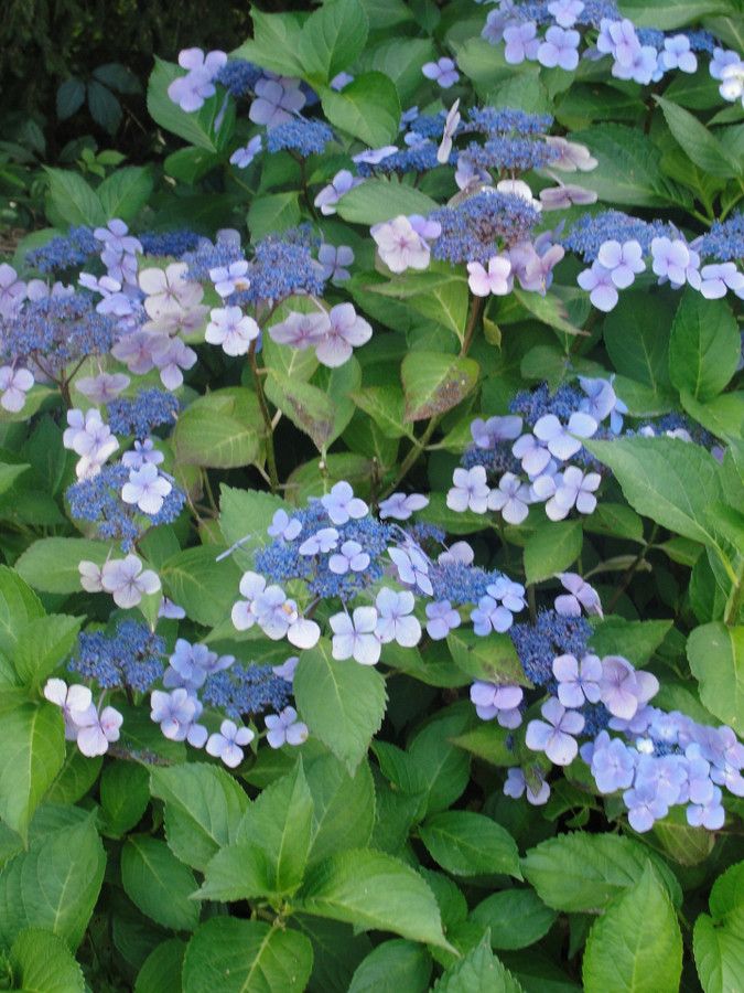 Działka budowlana Klimkówka. Zdjęcie 15