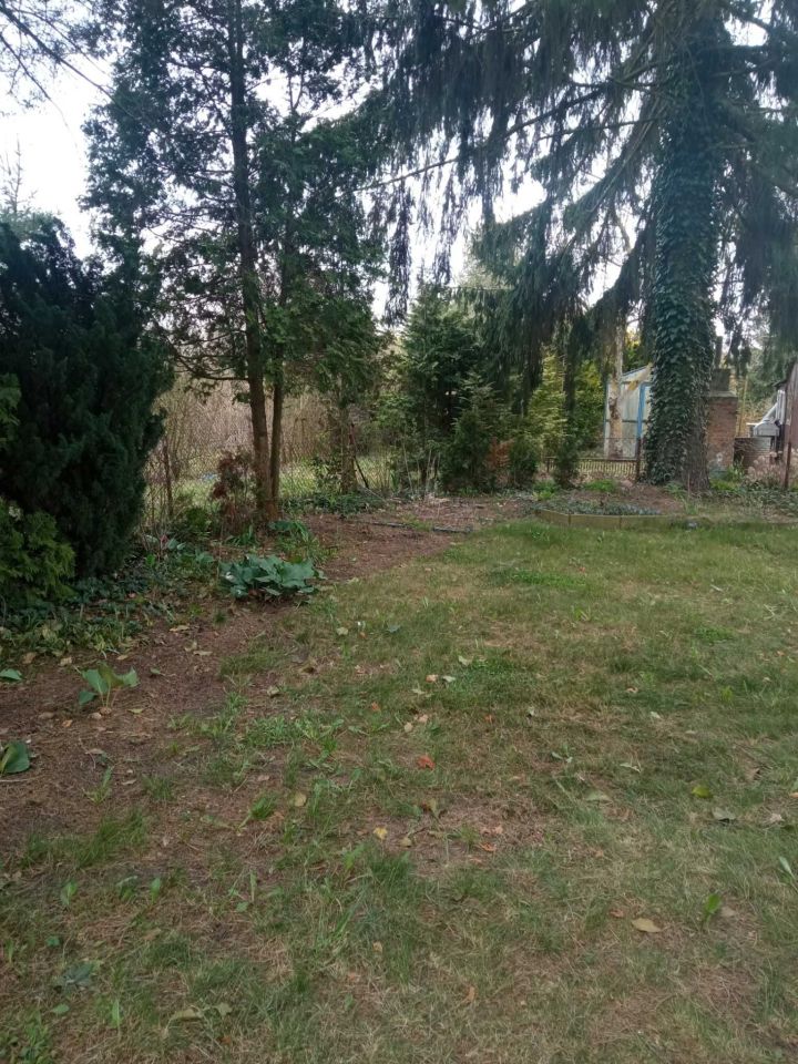 Działka rod Ciechanów Gostków. Zdjęcie 3