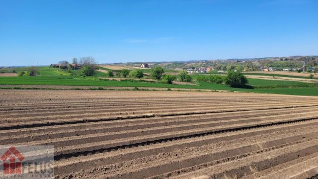 Działka budowlana Proszowice. Zdjęcie 6