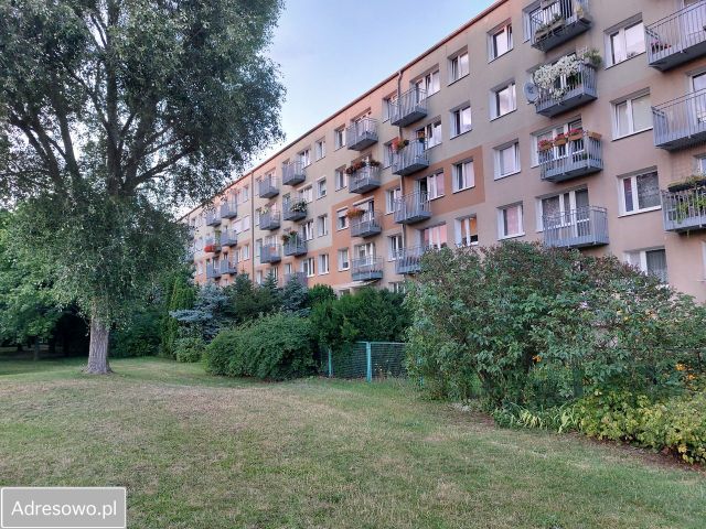 Mieszkanie 3-pokojowe Poznań Winogrady, os. Wichrowe Wzgórze. Zdjęcie 1