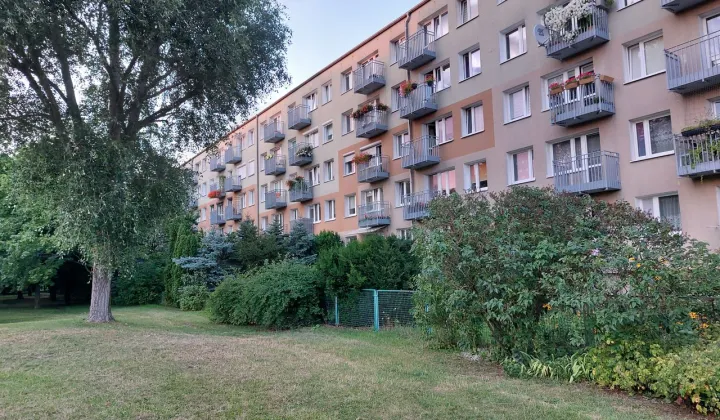Mieszkanie 3-pokojowe Poznań Winogrady, os. Wichrowe Wzgórze