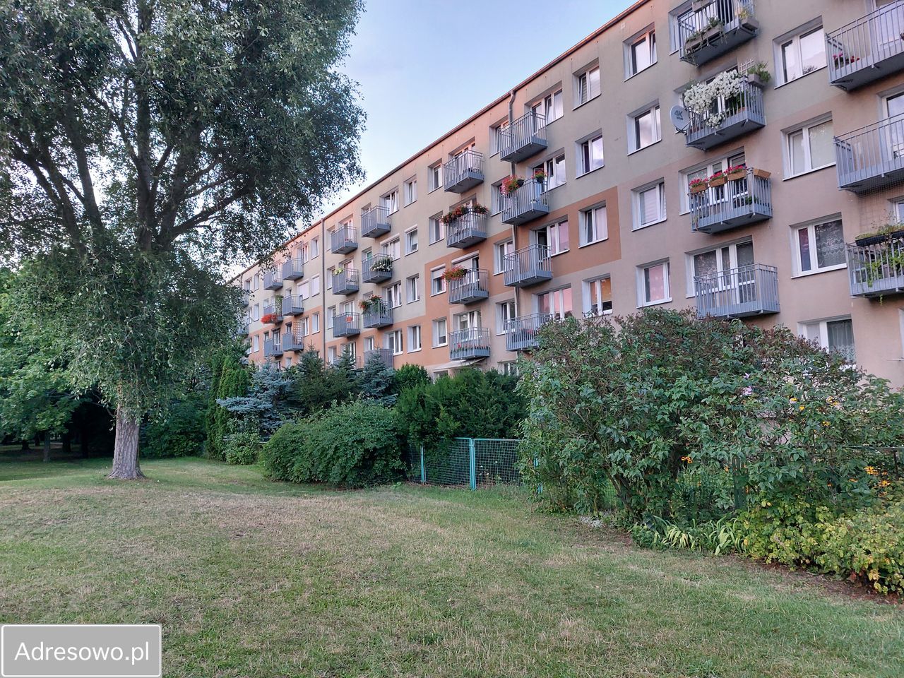 Mieszkanie 3-pokojowe Poznań Winogrady, os. Wichrowe Wzgórze. Zdjęcie 1