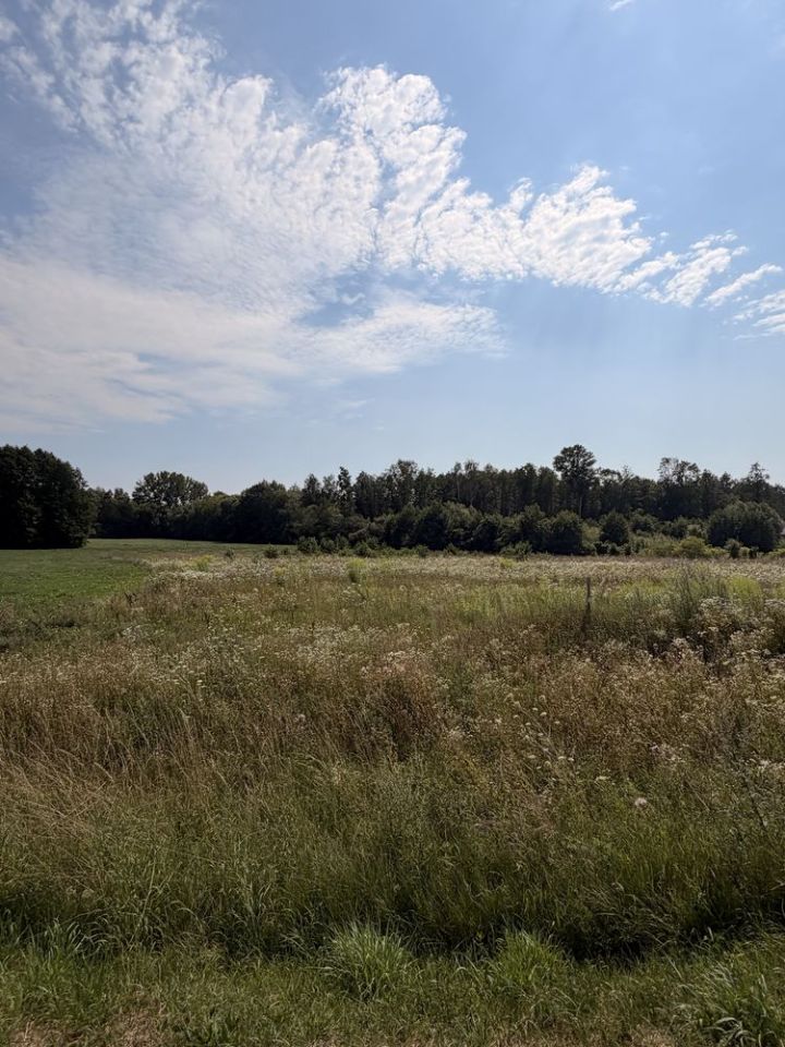 Działka rolno-budowlana Choroszcz, ul. Kruszewska. Zdjęcie 6