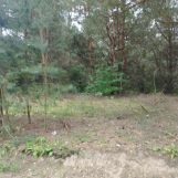 Działka budowlana Nagodów. Zdjęcie 2